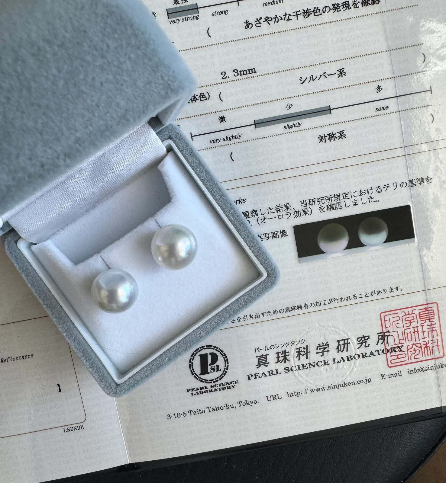 Soul Signature - South Sea Earrings (Phoenix 12mm)