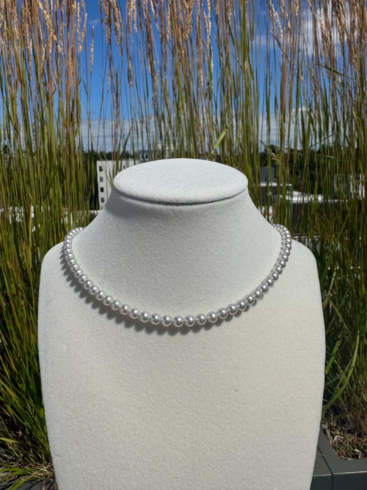 Lumie Forever - Akoya Blue Rose Full Strand Necklace (5.5mm)